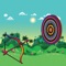 Can you be a Bow Arrow Shooting Champion 