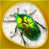 Animals 360 - Insecta Gold apk
