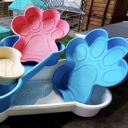 Dog Pools