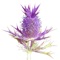 The Botanical Research Institute of Texas (BRIT) and High Country Apps have partnered to produce the new FLORA OF TEXAS: FORT WORTH PRAIRIE plant identification app for mobile devices