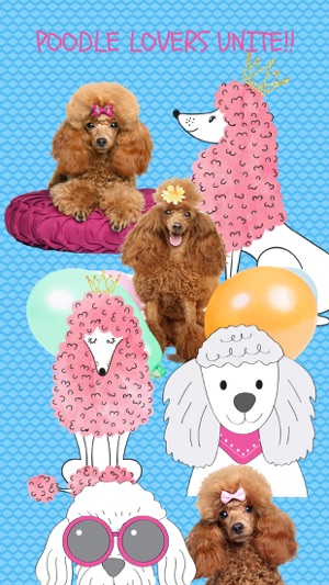 Poodle Fun Emoji Stickers(圖1)-速報App