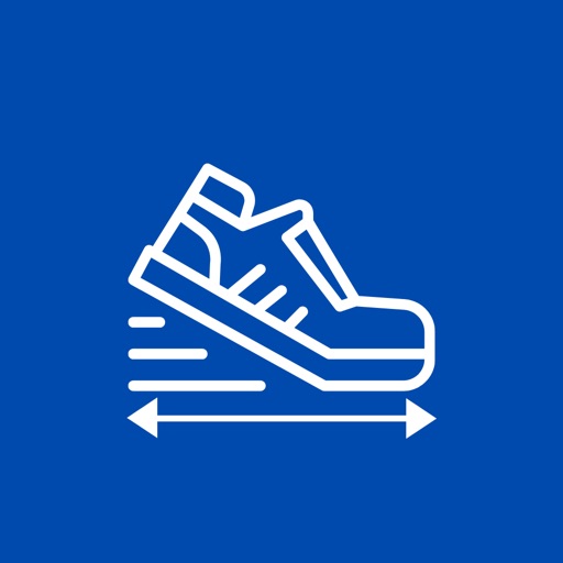 Shoe Mileage Icon