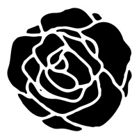 Méditations Rose Buddha