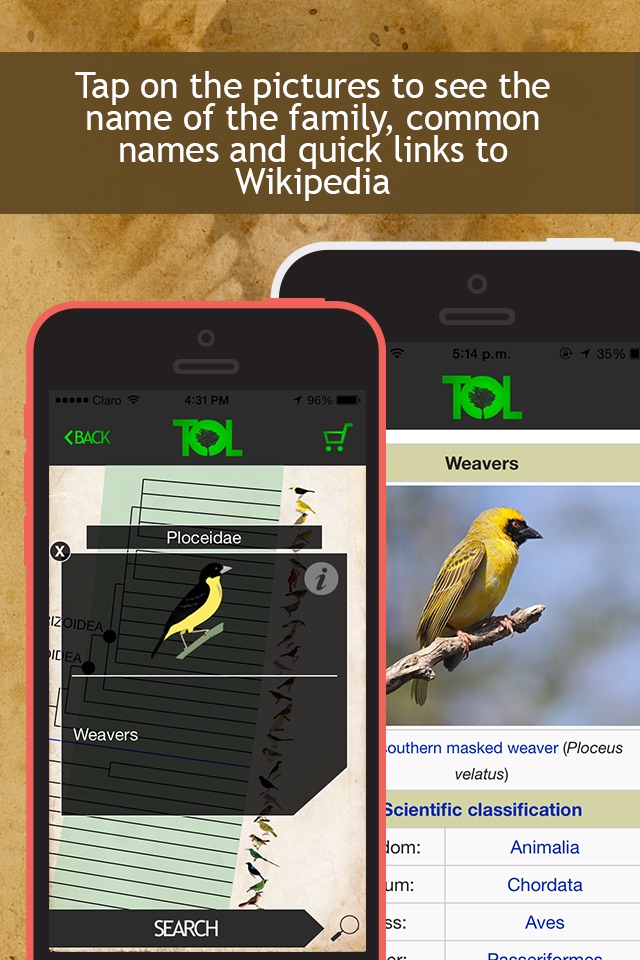 Tree of Life - ToL App screenshot 3