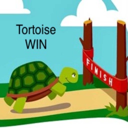 Tortoise WIN