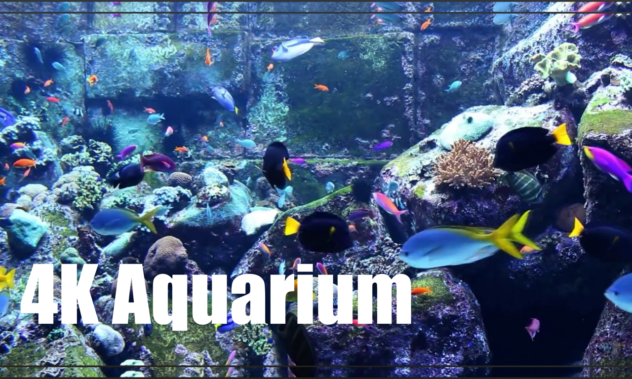 Aquarium Fish Tank HD
