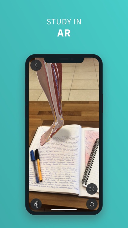 Complete Anatomy ‘22 screenshot-4