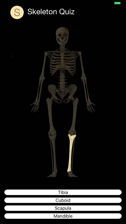 Skeleton Quiz screenshot-6