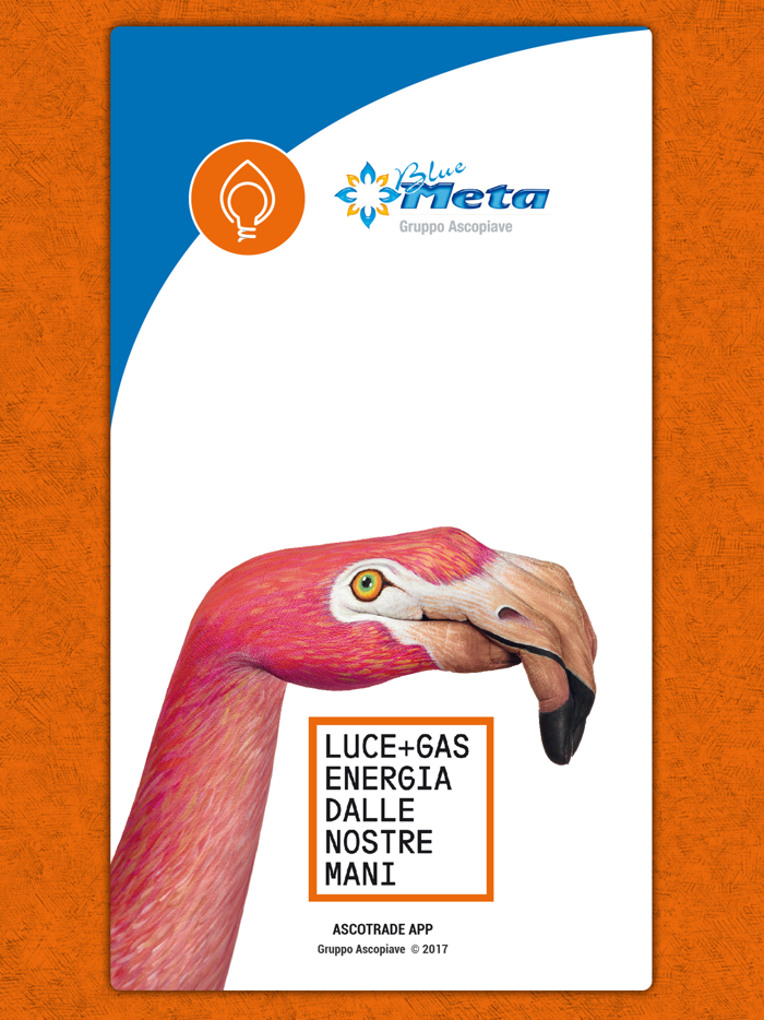 Bluemeta App gas e luce