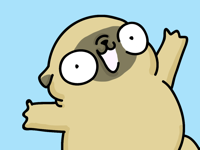 Mochi the pug