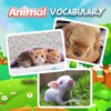Learn Animal Vocabulary Eng