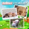 Learn Animal Vocabulary English