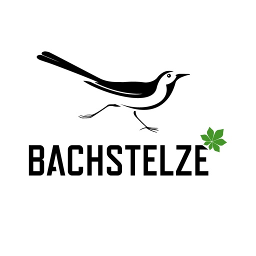 Bachstelze