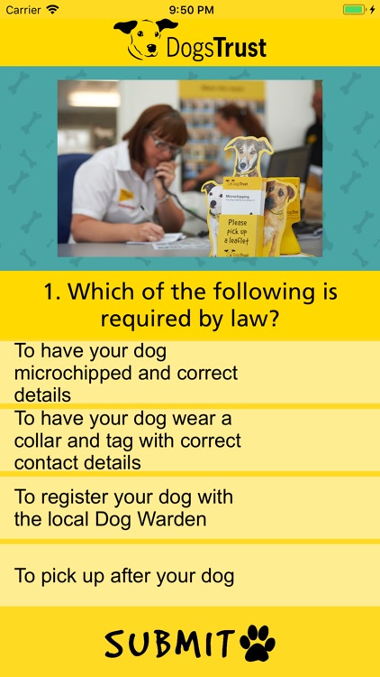 Dogs Trust Weight Quiz