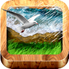 NatureScapes Relaxing Sounds - Infinite Wave Media, LLC