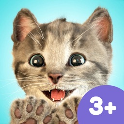 Little Kitten App