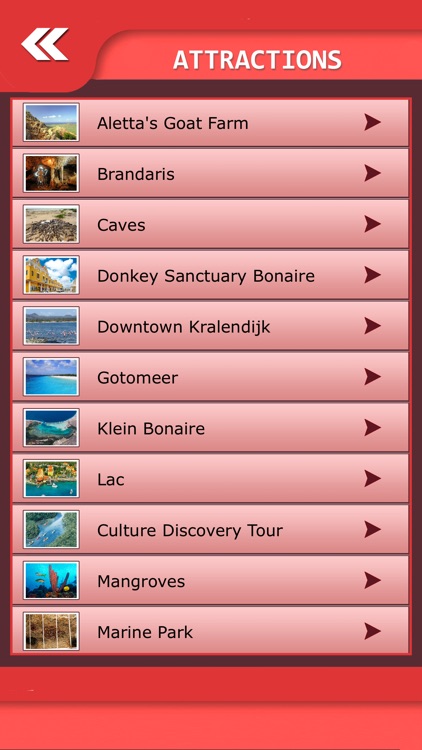 Bonaire Island Tourism - Guide