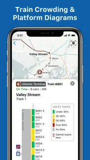 lirr traintime problems & solutions and troubleshooting guide - 2