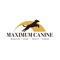 Maximum K9 Service offers the very best in pet care