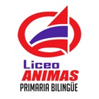 Liceo ANIMAS