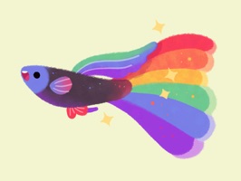 Rainbow guppy