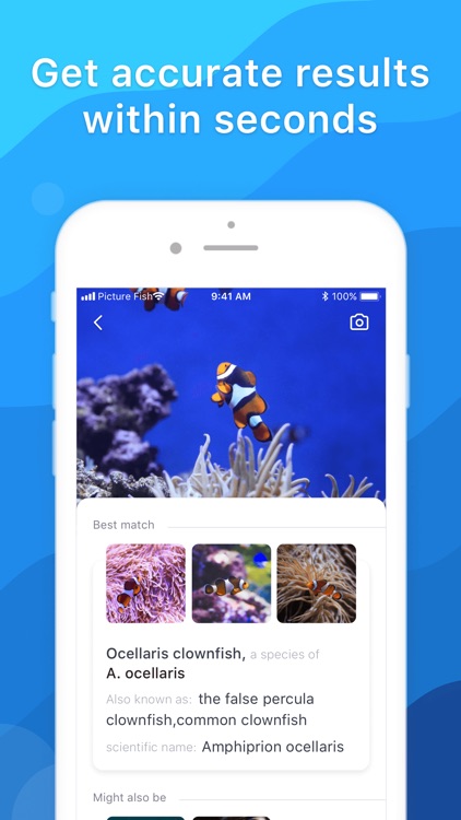 Picture Fish - Fish Identifier