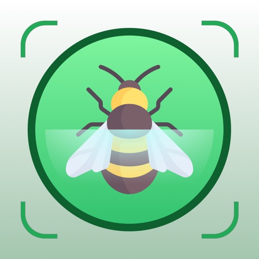 Insect identification by photo iOS App