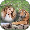 Icon International Tiger Day Frames