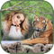 App Icon for International Tiger Day Frames App in Brazil IOS App Store