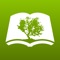 Bible by Olive Tree equips you with easy-to-use Bible study tools so you can stop skimming Scripture and get answers—for free