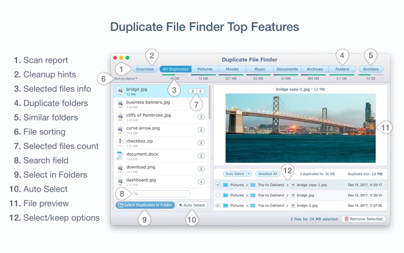Duplicate_File_Finder_Remover.app caprure 2 2_Duplicate_File_Finder_Remover.jpg