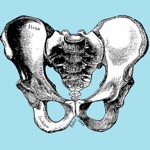 iSurgical
