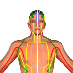 Health by Acupressure - 3D