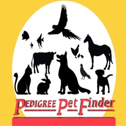 Pedigree Pet Finder