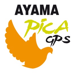 Ayama Pointer Pica