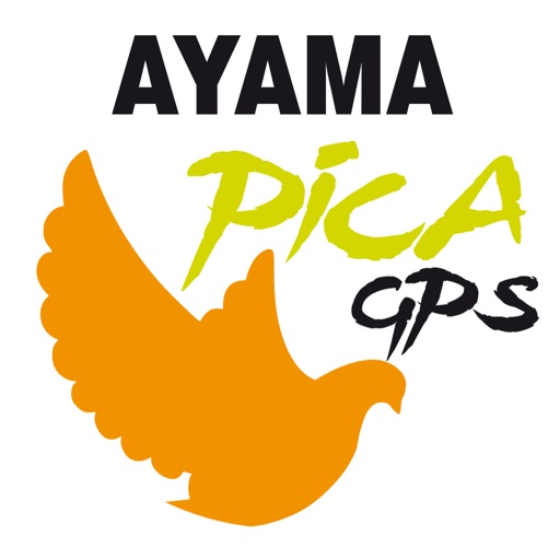 Ayama Pointer Pica