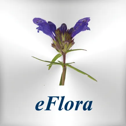 eFlora Читы