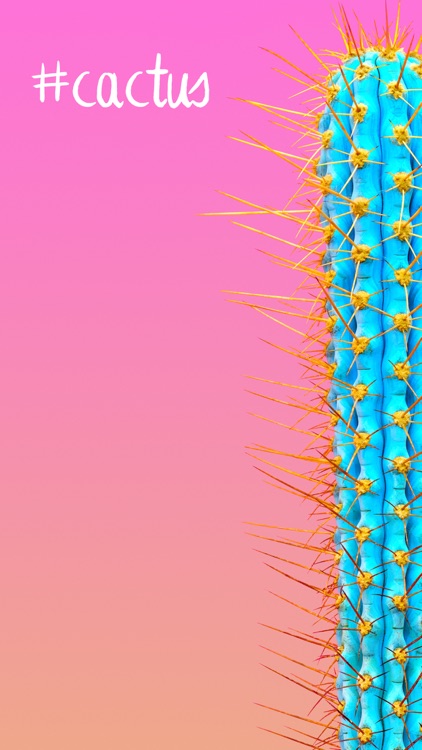 Lovely Cactus Stickers