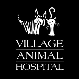 Village Animal Hosp