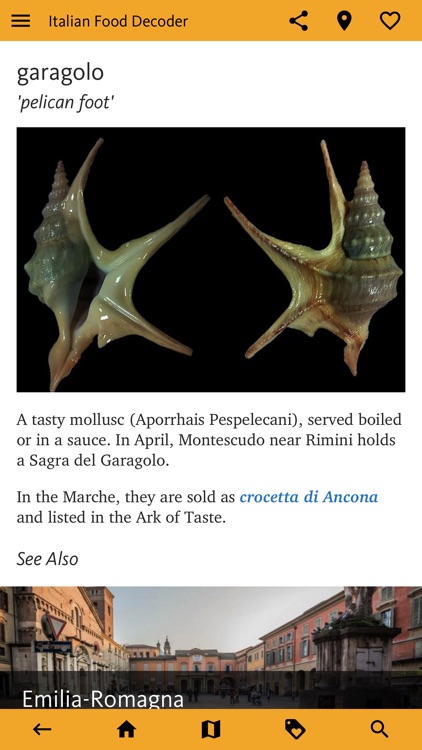 Italian Food Decoder screenshot-4