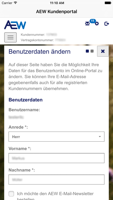 AEW Kundenportal screenshot 3