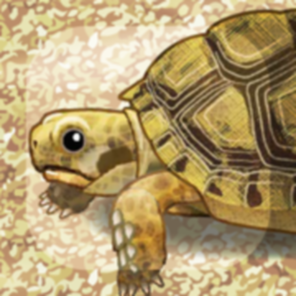 Get Tortoise Pet for iOS, iPhone, iPad Aso Report