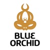 Blue Orchid, Coventry