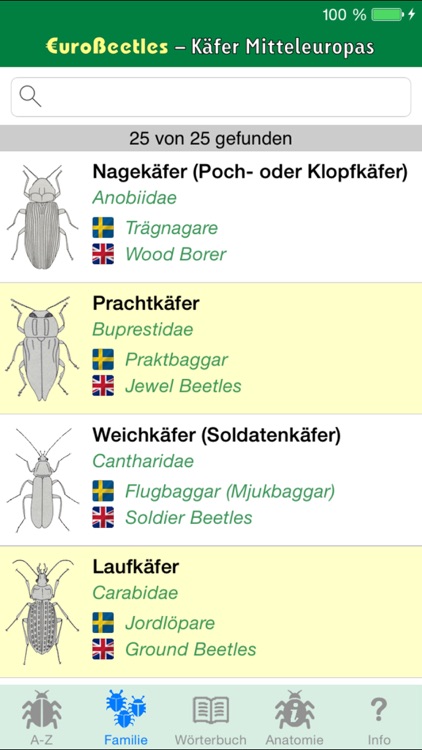 EuroBeetles