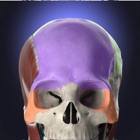 Top 10 Medical Apps Like Anatomyka - Best Alternatives