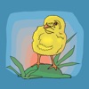 Chicken Chick Emojis
