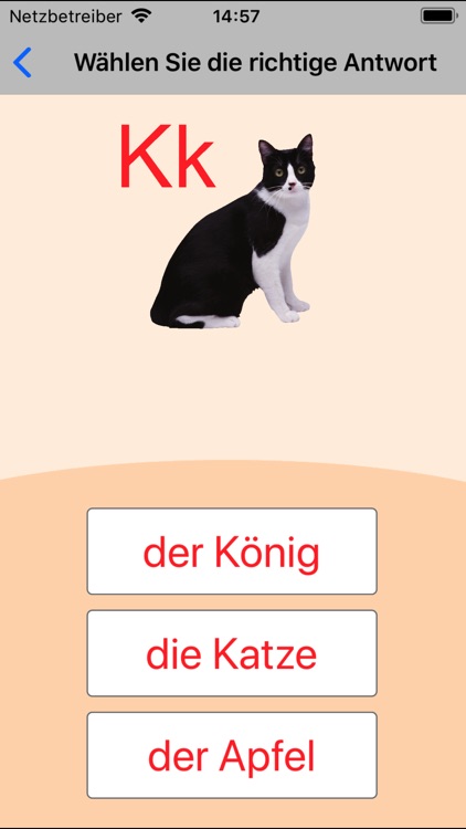 German Alphabet Learning Cards screenshot-3