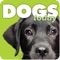 We think this is the best dog magazine in the world