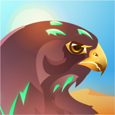 Activities of Falcon Valley Battle