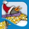 Join the penguins Tacky, Goodly, Lovely, Angel, Neatly, and Perfect in this interactive book app as they celebrate Christmas with good cheer, singing, and lots of presents